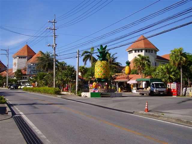 名護市パイナップルパーク